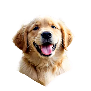 Golden Retriever Puppy Winking Png 06252024 PNG image