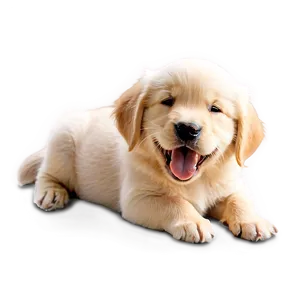 Golden Retriever Puppy Winking Png 06252024 PNG image