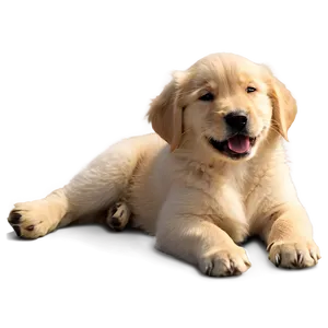 Golden Retriever Puppy Winking Png 06252024 PNG image