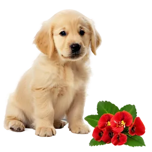 Golden Retriever Puppy With Flowers PNG 53