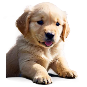 Golden Retriever Puppy With Puppies Png Qnx PNG image