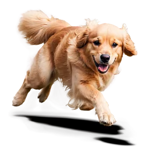 Golden Retriever Running PNG Wia67 PNG