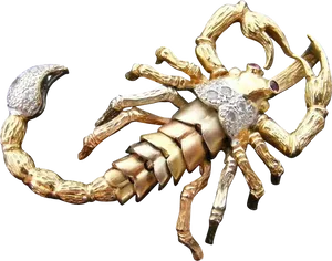 Golden Scorpion Brooch Jewelry PNG image