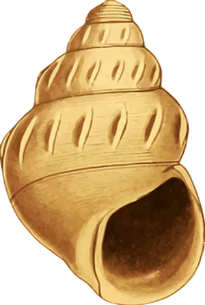 Golden Seashell Illustration