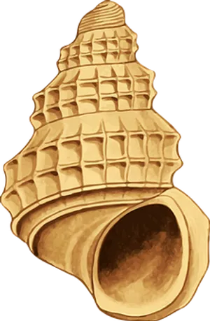 Golden Seashell Illustration