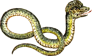 Golden Serpent Illustration