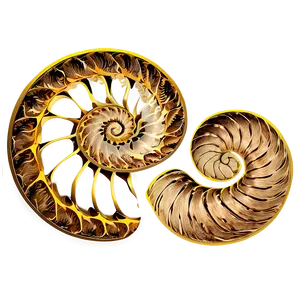 Golden Spiral Illustration PNG 05232024