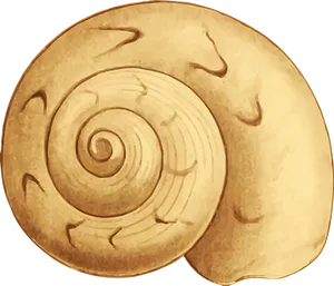 Golden_ Spiral_ Shell_ Illustration