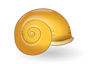 Golden Spiral Shell Illustration PNG image