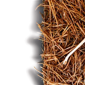 Golden Straw Mulch Png 06132024 PNG image