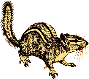 Golden Striped Squirrel Illustration