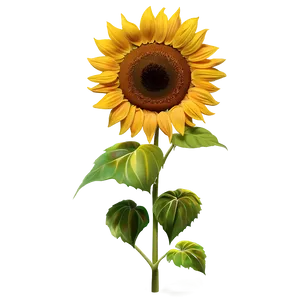 Golden Sunflower Spring PNG 06272024 PNG