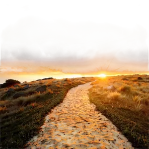 Golden Sunset Path PNG 12 PNG