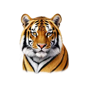 Golden Tiger Face Illustration Png Sdr PNG image