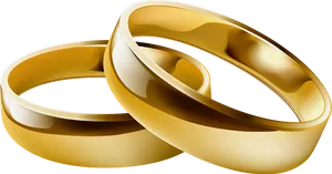 Golden Wedding Bands Interlocked