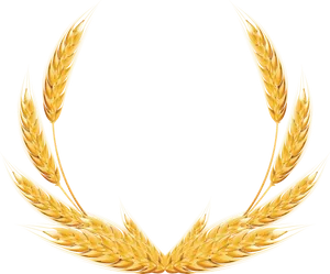 Golden Wheat Ears Graphic PNG image