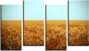 Golden Wheat Field Four Panel Display PNG image