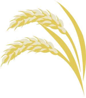 Golden Wheat Illustration