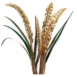 Golden Wild Grass PNG 23