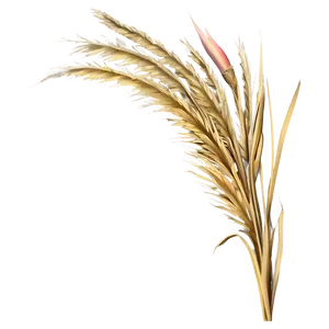 Golden Wild Grass PNG Bht