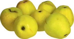 Golden Yellow Apples Grouped Together