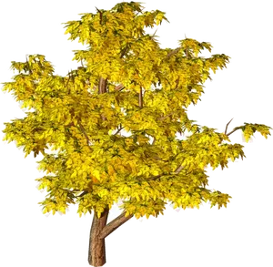Golden Yellow Autumn Tree