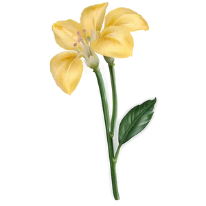 Golden Yellow Flowers PNG Ueg PNG