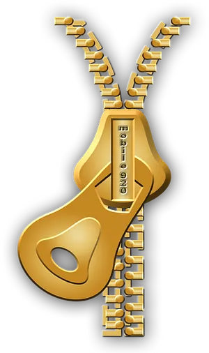 Golden Zipper Illustration PNG image