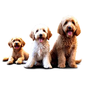 Goldendoodle Family PNG 53 PNG