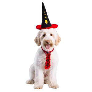 Goldendoodle In Costume PNG 40