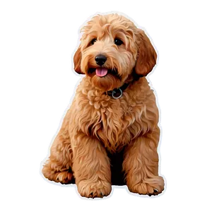 Goldendoodle In Snow Png 36 PNG image