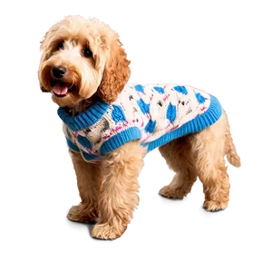 Goldendoodle In Sweater Png 39 PNG image