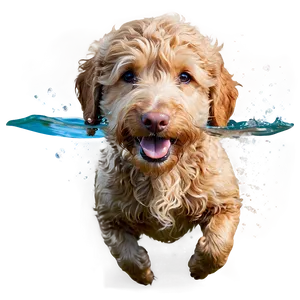 Goldendoodle Swimming PNG Ret30 PNG