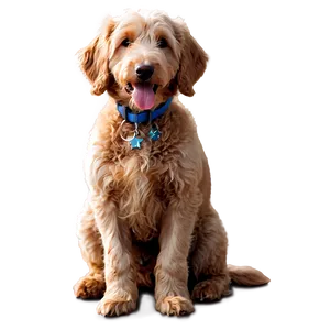 Goldendoodle Under Sun Png 62 PNG image