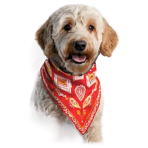 Goldendoodle Wearing Bandana PNG 61