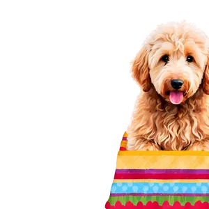 Goldendoodle With Blanket PNG 10