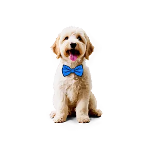 Goldendoodle With Bowtie PNG 6