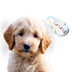 Goldendoodle With Puppies PNG 33