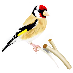 Goldfinch Bird Yellow PNG 3