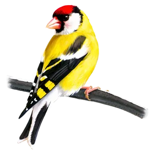 Goldfinch Bird Yellow PNG Ehb18