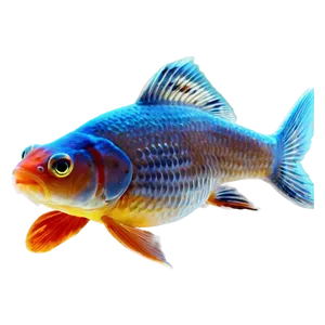 Goldfish Breeds PNG 66 PNG