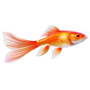 Goldfish Clipart Png 05212024 PNG image