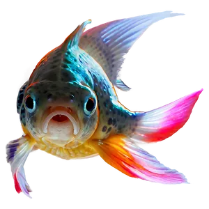 Goldfish Close-up PNG 05212024