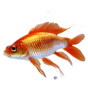 Goldfish Feathers Png Xdk66 PNG image