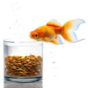 Goldfish Feeding Time PNG 05212024