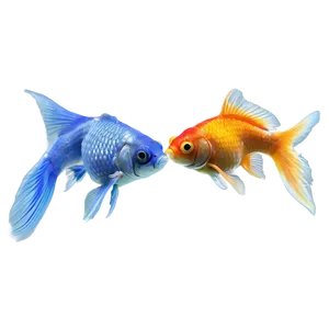 Goldfish Feeding Time PNG Evt15