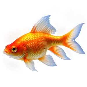 Goldfish Fins Png Rag41 PNG image