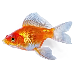 Goldfish Flake Food PNG 05212024 PNG
