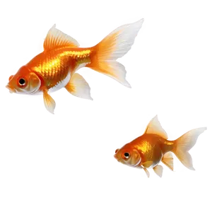 Goldfish Flake Food PNG 88 PNG