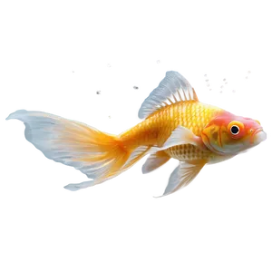 Goldfish In Motion PNG 05212024